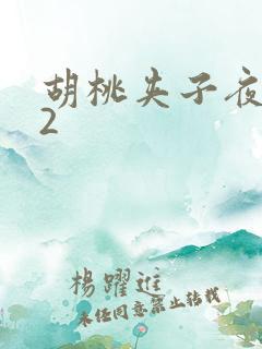 胡桃夹子夜未眠2