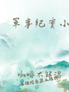 军事纪实小说