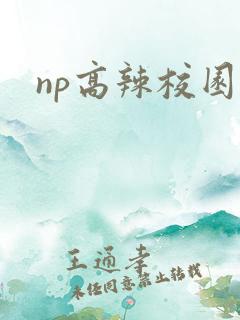 np高辣校园文