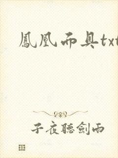 凤凰面具txt