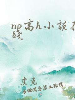 np高h小说在线