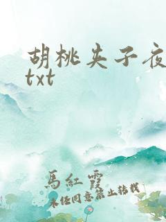 胡桃夹子夜未眠txt