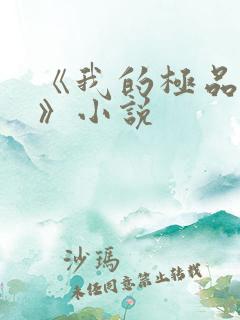 《我的极品小姨》小说