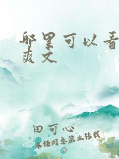 哪里可以看到小爽文