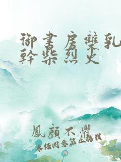 御书房双乳晃动干柴烈火