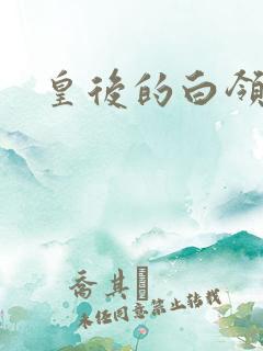 皇后的白领生活