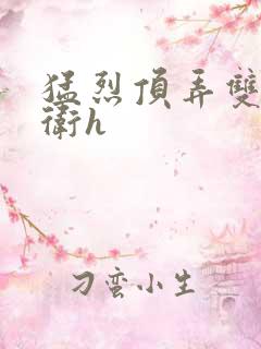 猛烈顶弄双性暗卫h