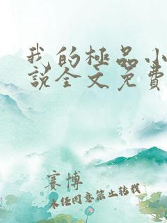 我的极品小姨小说全文免费阅读