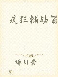 疯狂辅助器