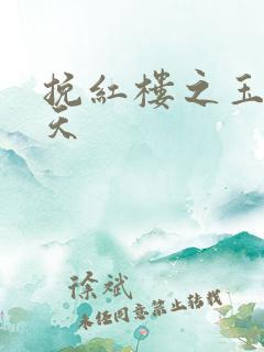 挽红楼之玉舞九天