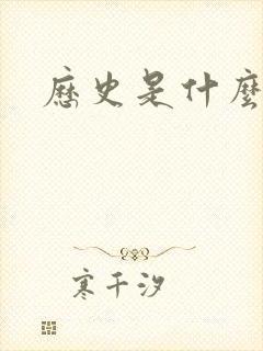 历史是什么玩意