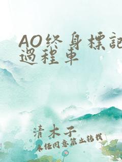AO终身标记全过程车