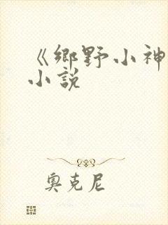 《乡野小神医》小说