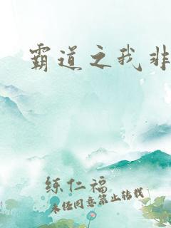 霸道之我非英雄