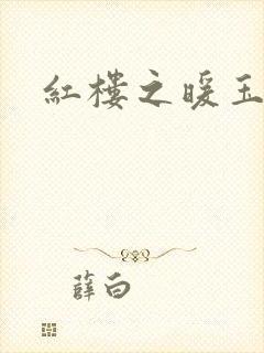 红楼之暖玉
