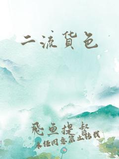 二流货色