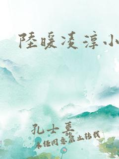 陆暖凌淳小说