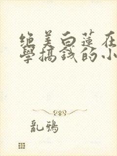 绝美白莲在线教学搞钱的小说