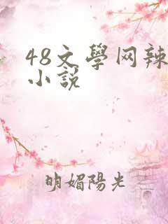 48文学网辣文小说