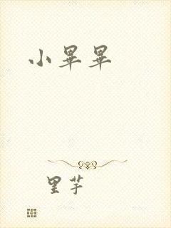 小毕毕
