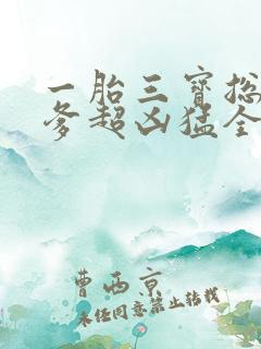 一胎三宝总裁爹爹超凶猛全文免费阅读