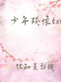 少年残像txt