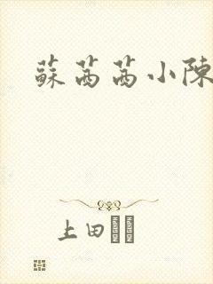 苏茜茜小陈叔叔