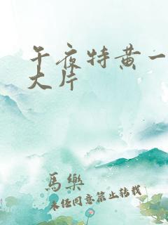 午夜特黄一级a大片
