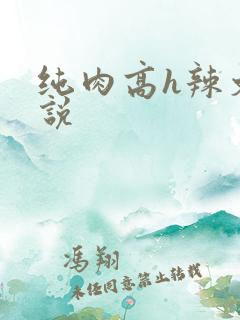 纯肉高h辣文小说