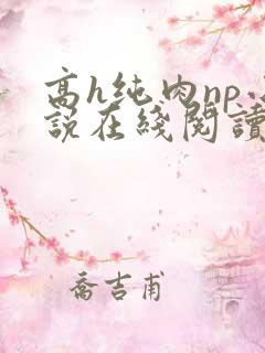 高h纯肉np小说在线阅读