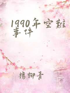 1990年空难事件