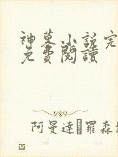 神墓小说完整版免费阅读