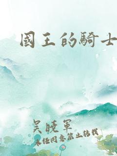 国王的骑士