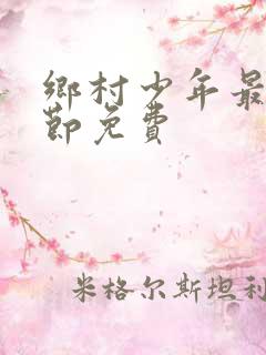 乡村少年最新章节免费