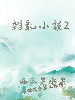 杂乱小说2