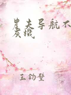 农夫导航不要打灰机