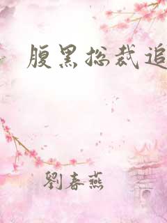 腹黑总裁追娇妻