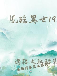 凤临异世19楼