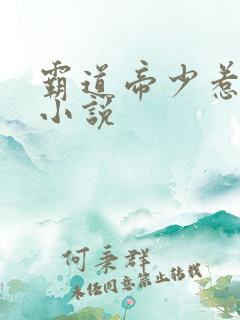 霸道帝少惹不得小说