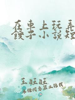 在车上玩弄美艳馊子小说短篇