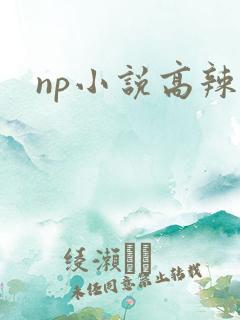np小说高辣h