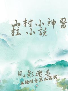 山村小神医王铁柱 小说