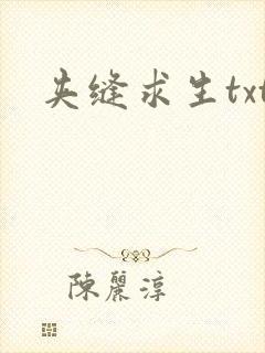 夹缝求生txt