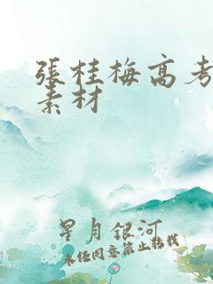 张桂梅高考作文素材