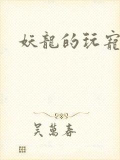 妖龙的玩宠