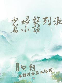少妇系列激情短篇小说