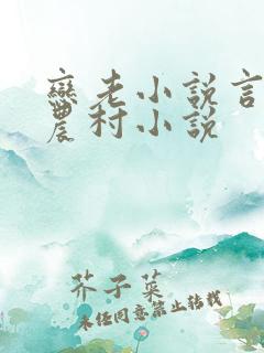 恋老小说言情网农村小说