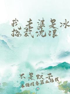 我老婆是冰山女总裁沈浪