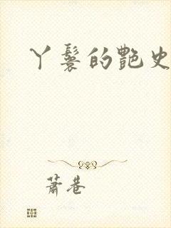 丫鬟的艳史H