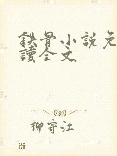 铁骨小说免费阅读全文